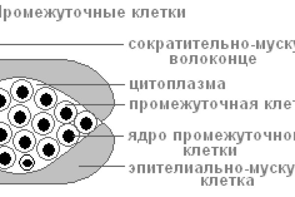 Что такое кракен маркетплейс